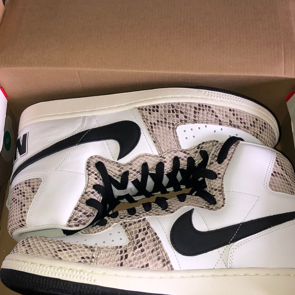 Nike terminator shoes